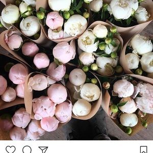 Meet your Posher, Kira